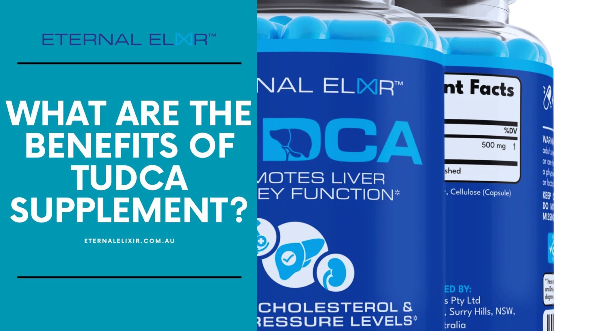 Top Benefits of TUDCA Supplement