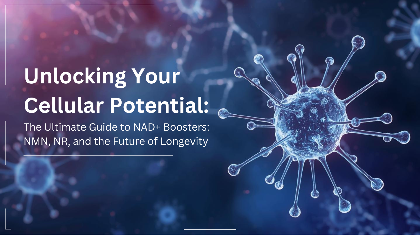 The Ultimate Guide to NAD+ Boosters: NMN, NR, and Longevity