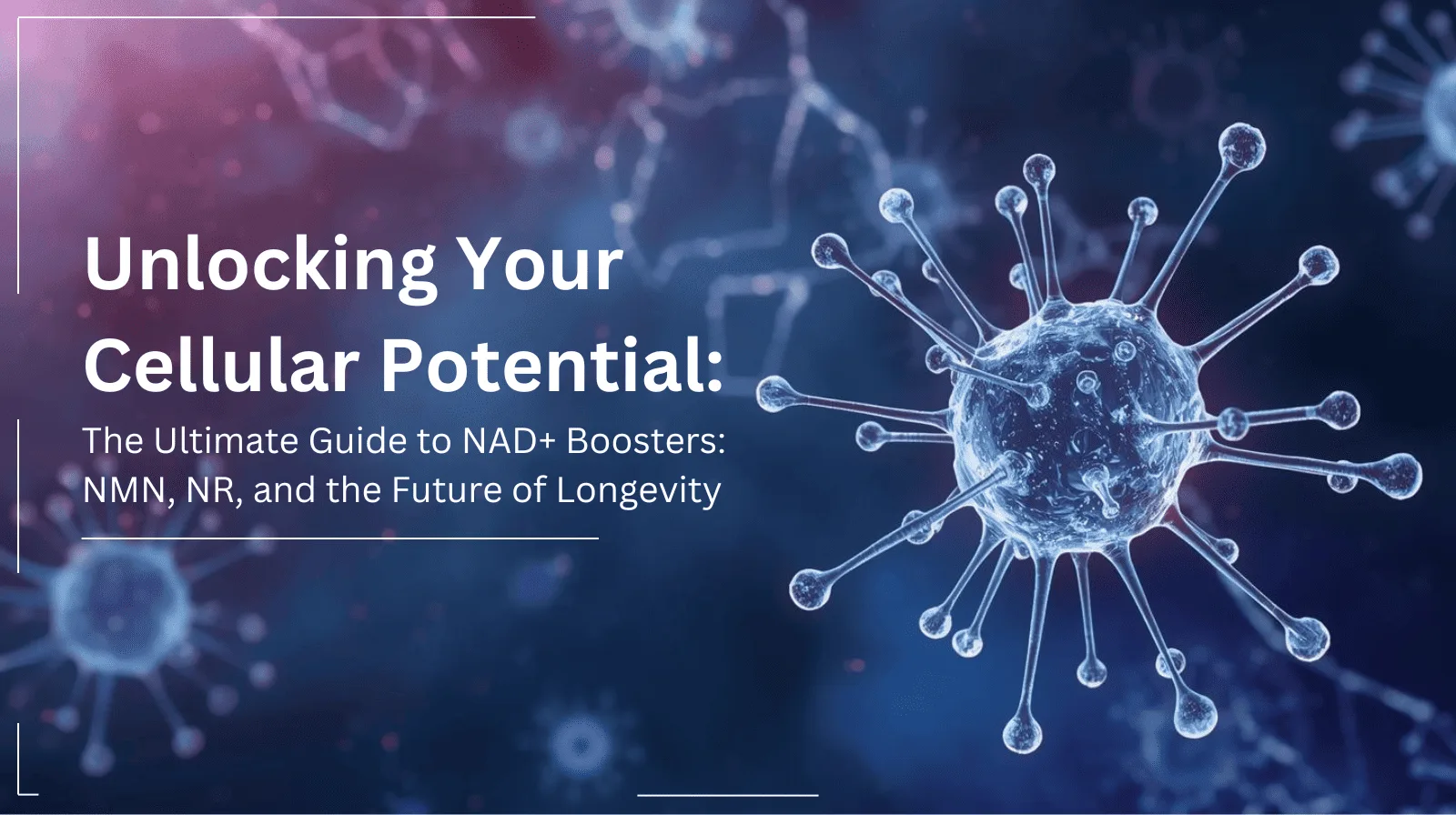 The Ultimate Guide to NAD+ Boosters: NMN, NR, and Longevity