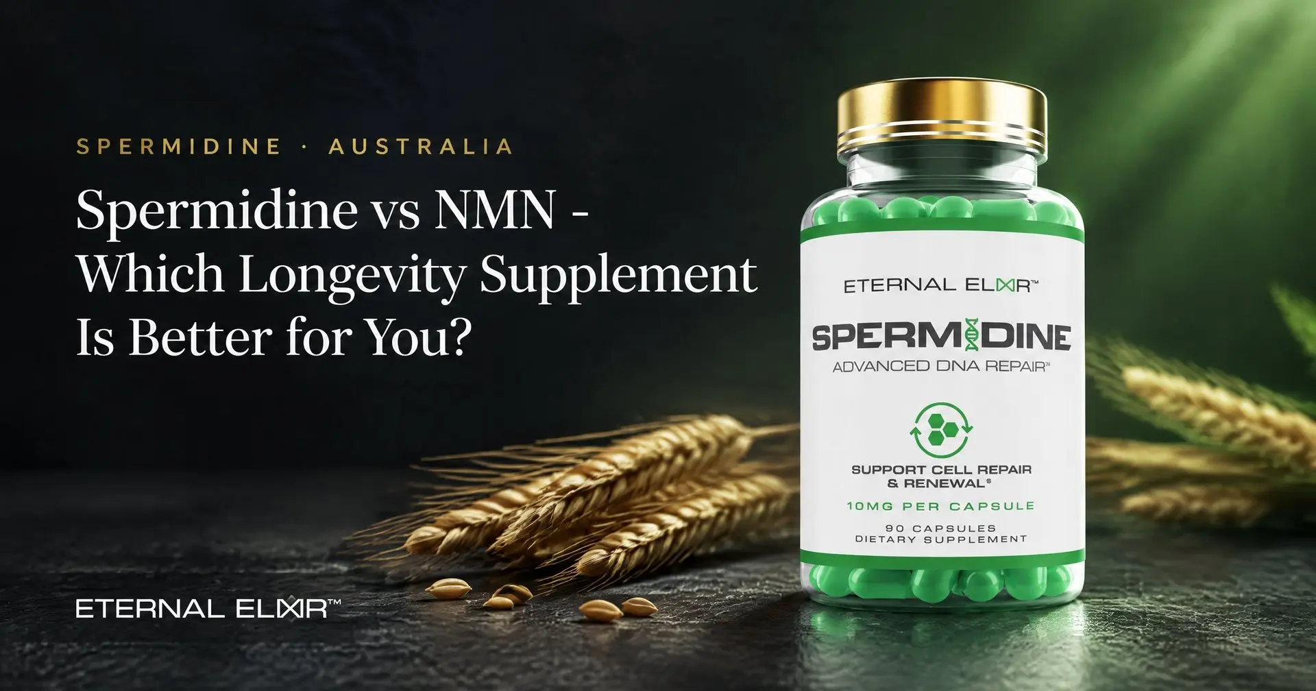 Spermidine vs NMN - Which Longevity Supplement Is Better for You? – Eternal Elixir Spermidine 10mg bottle