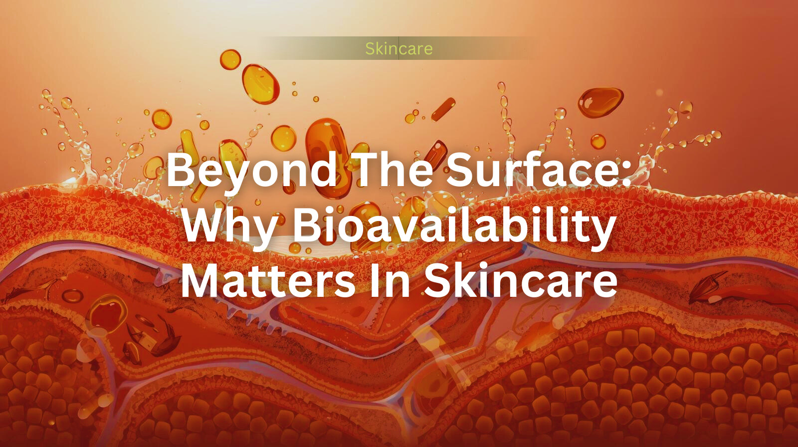 bioavailability in skincare