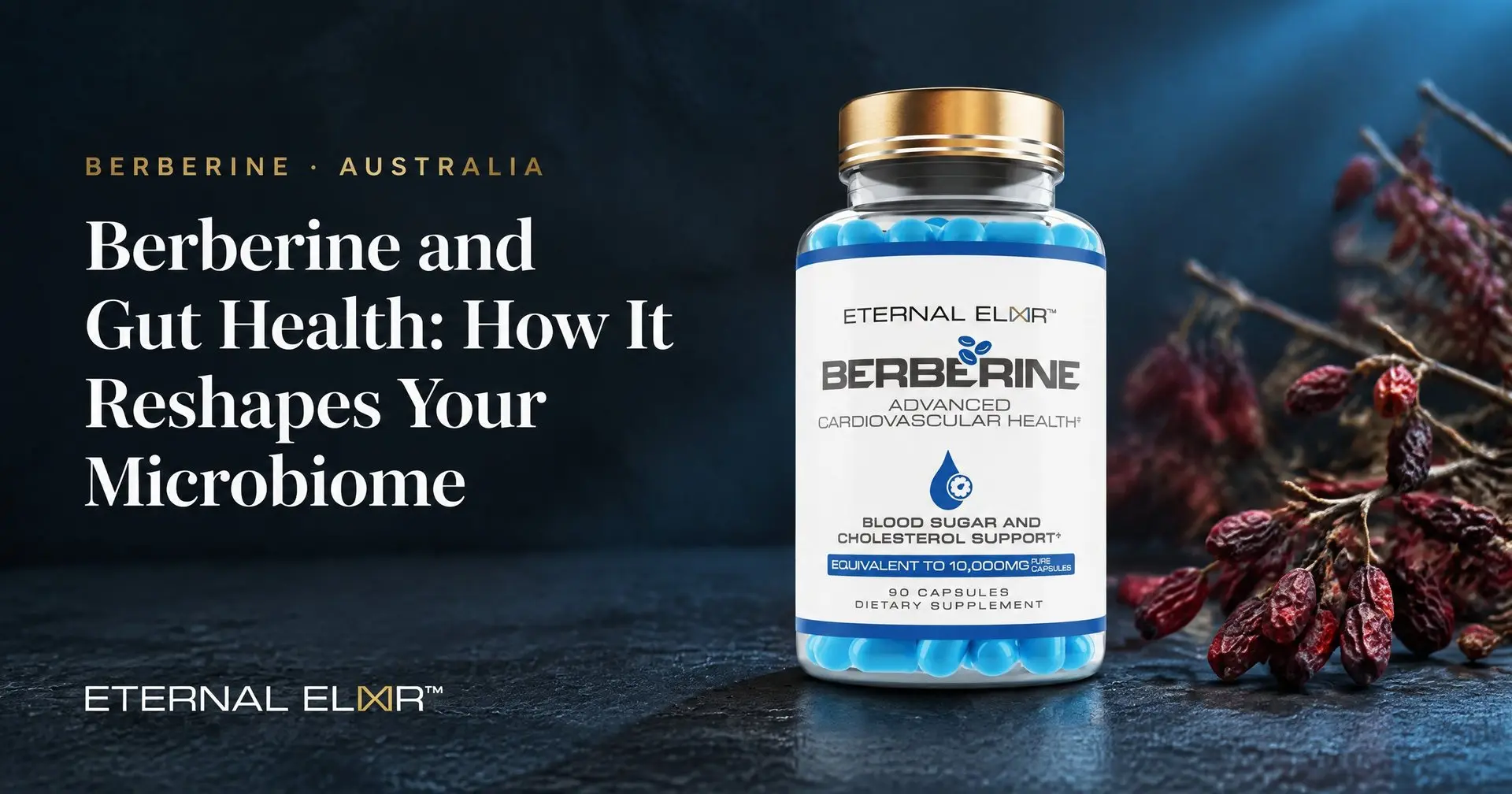 Berberine and Gut Health: How It Reshapes Your Microbiome – Eternal Elixir Berberine HCl 500mg 20:1 bottle