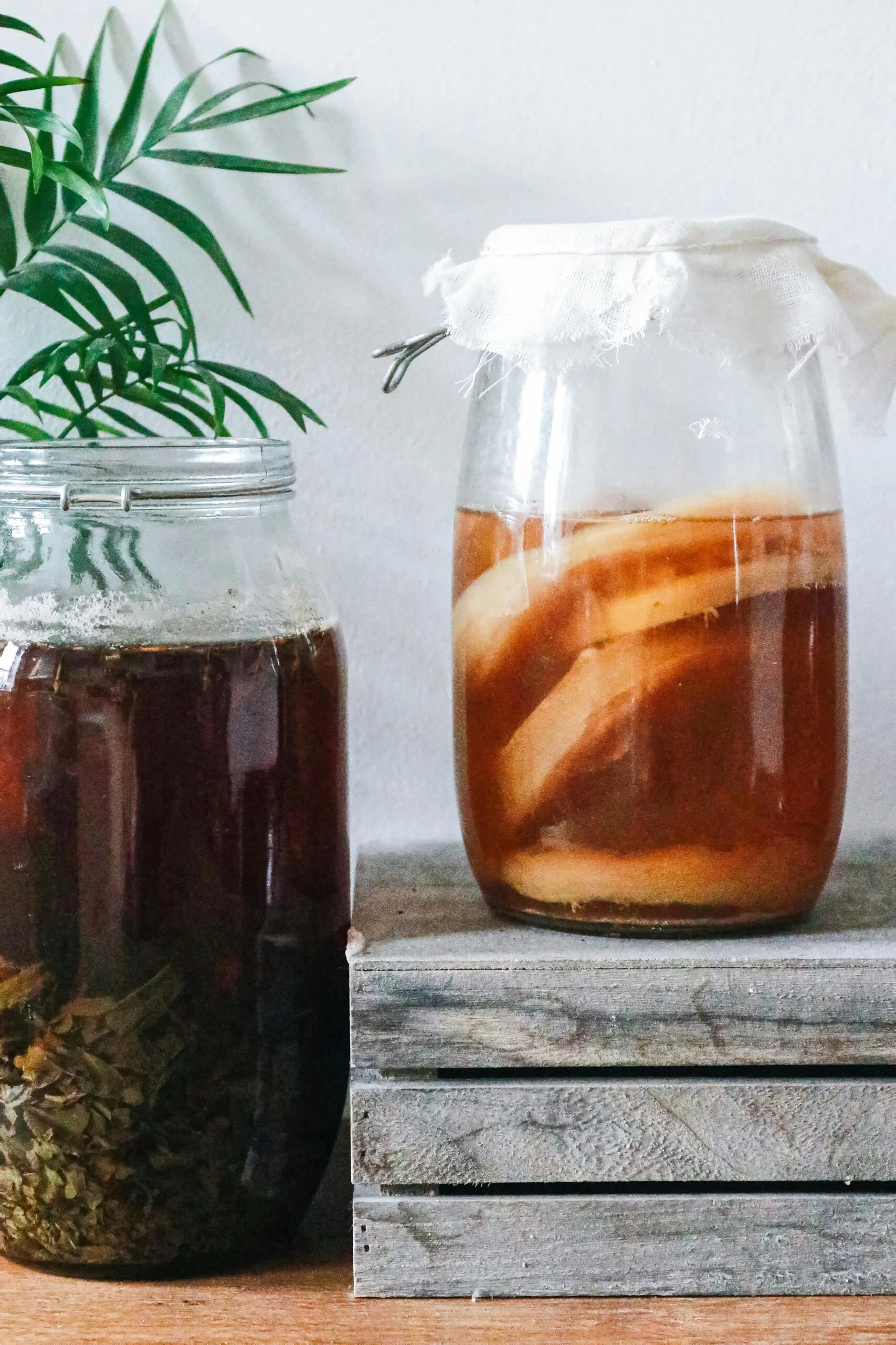 TUDCA and Gut Health