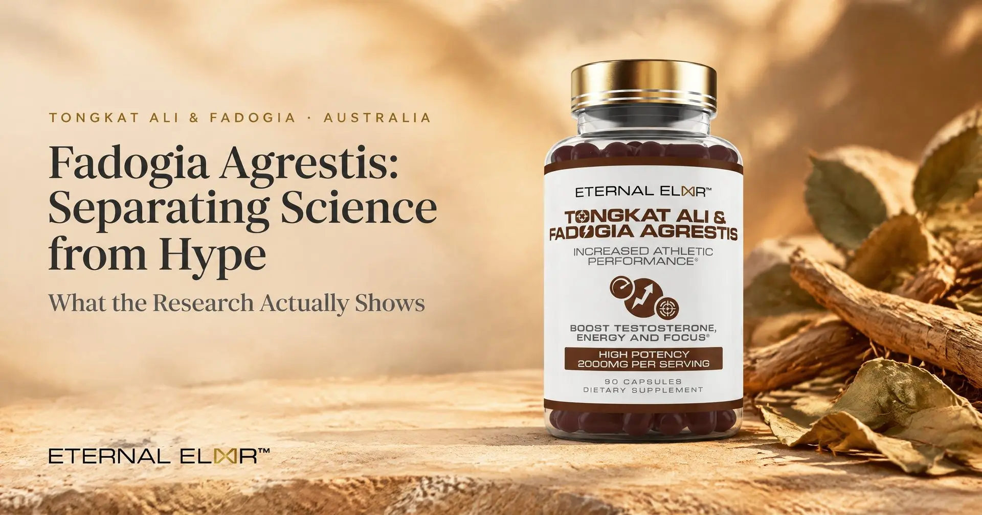 Fadogia Agrestis: Separating Science from Hype - What the Research Actually Shows – Eternal Elixir Tongkat Ali + Fadogia 2010mg bottle