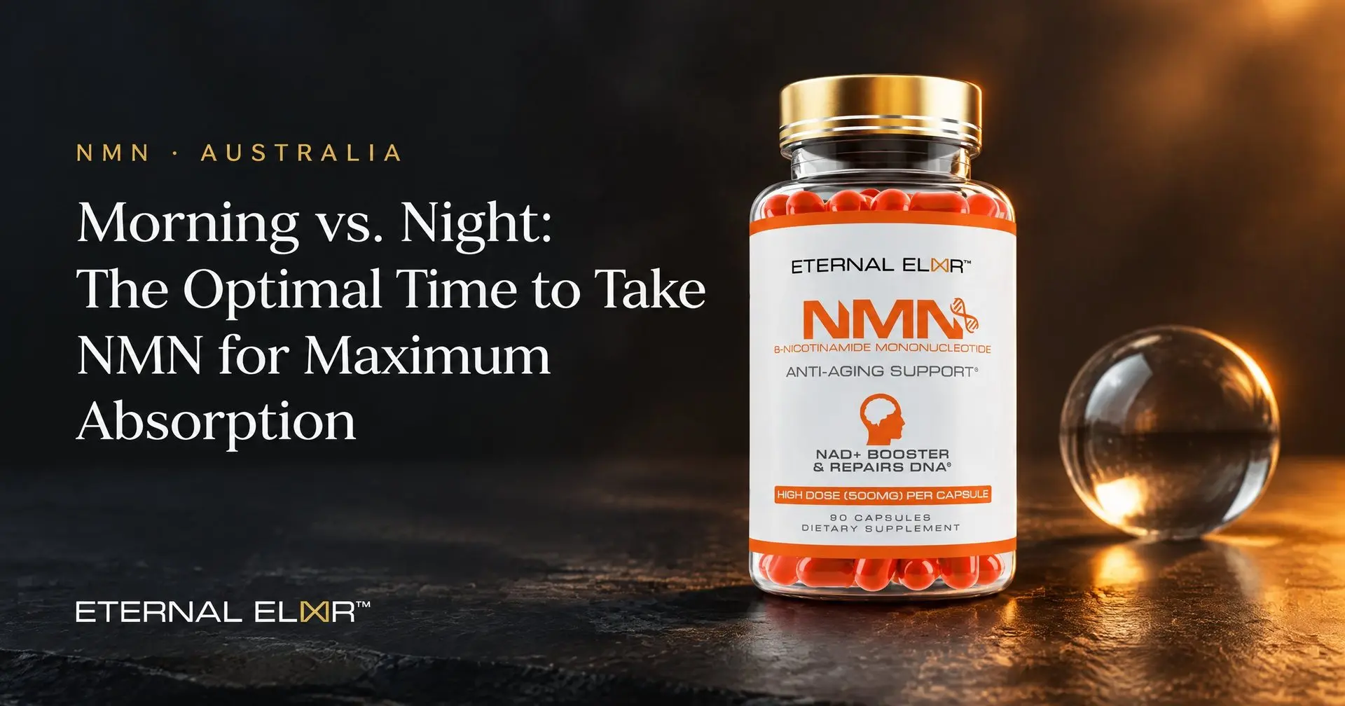 Morning vs. Night: The Optimal Time to Take NMN for Maximum Absorption – Eternal Elixir NMN 500mg bottle