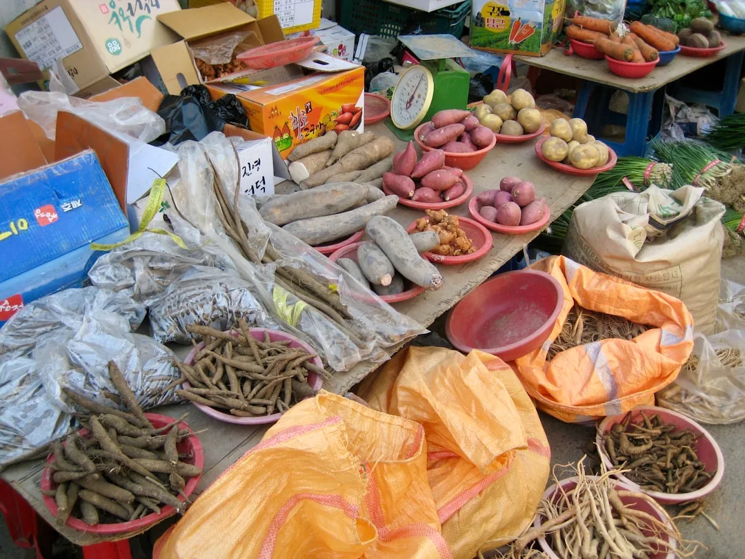 Korean ginseng benefits - traditional herbal medicine roots | Eternal Elixir Australia