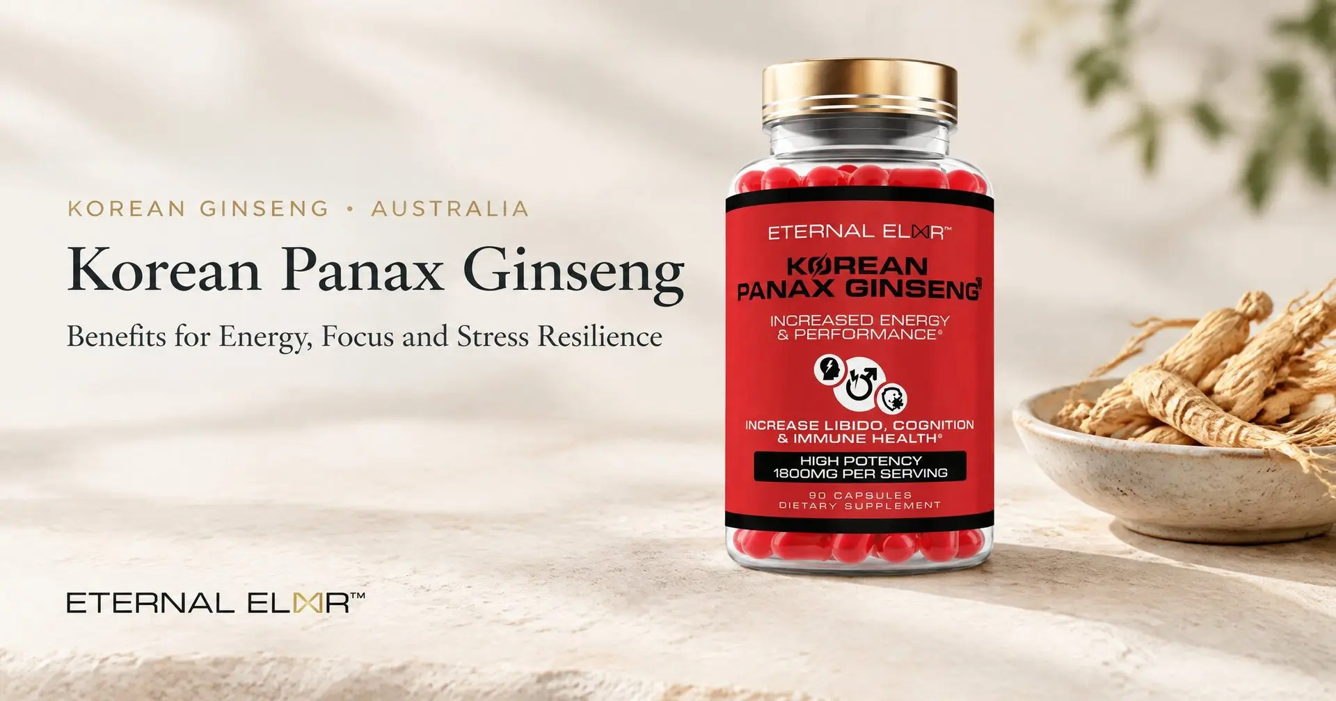 Korean Panax Ginseng: Benefits for Energy, Focus and Stress Resilience – Eternal Elixir Korean Panax Ginseng 1600mg bottle