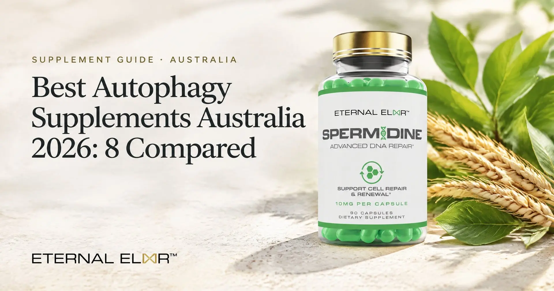 Best Autophagy Supplements Australia 2026: 8 Compared – Eternal Elixir Spermidine 10mg bottle