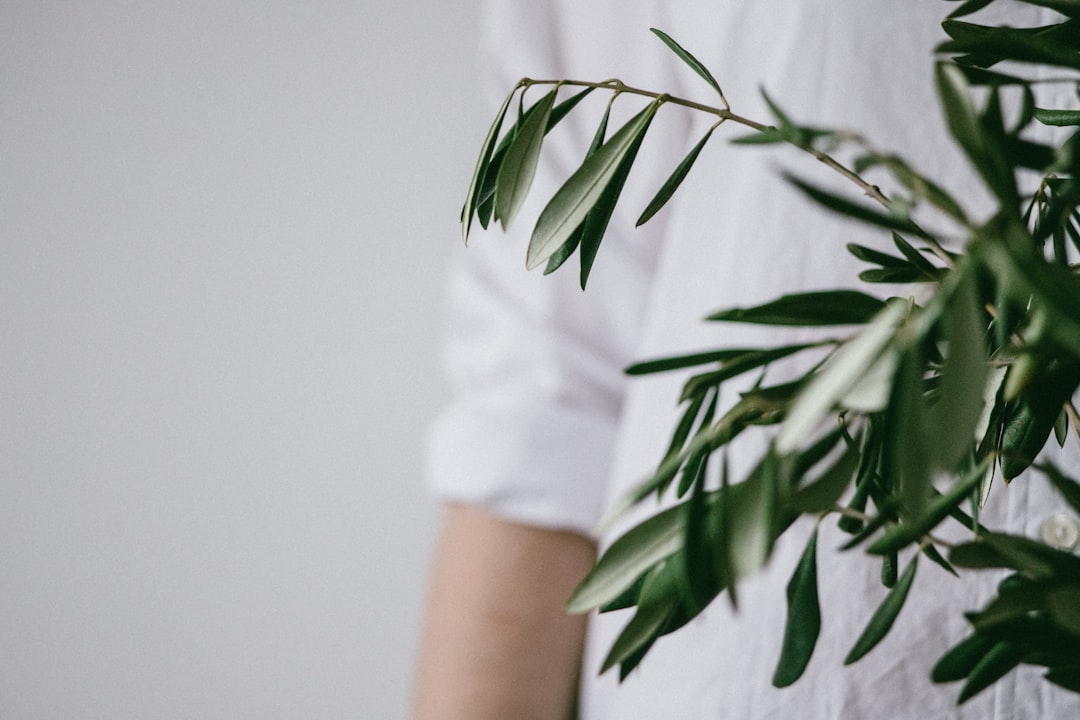 Natural wellness lifestyle | Eternal Elixir Australia