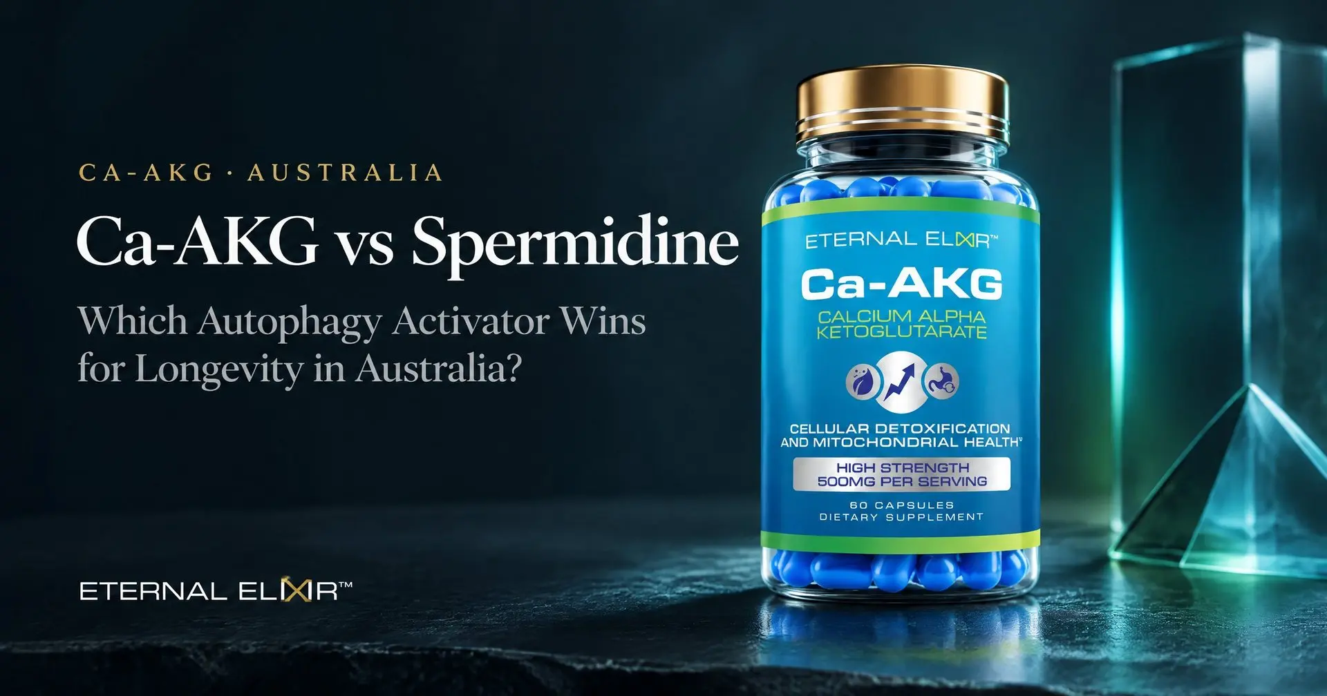 Ca-AKG vs Spermidine: Which Autophagy Activator Wins for Longevity in Australia? – Eternal Elixir Ca-AKG 500mg bottle