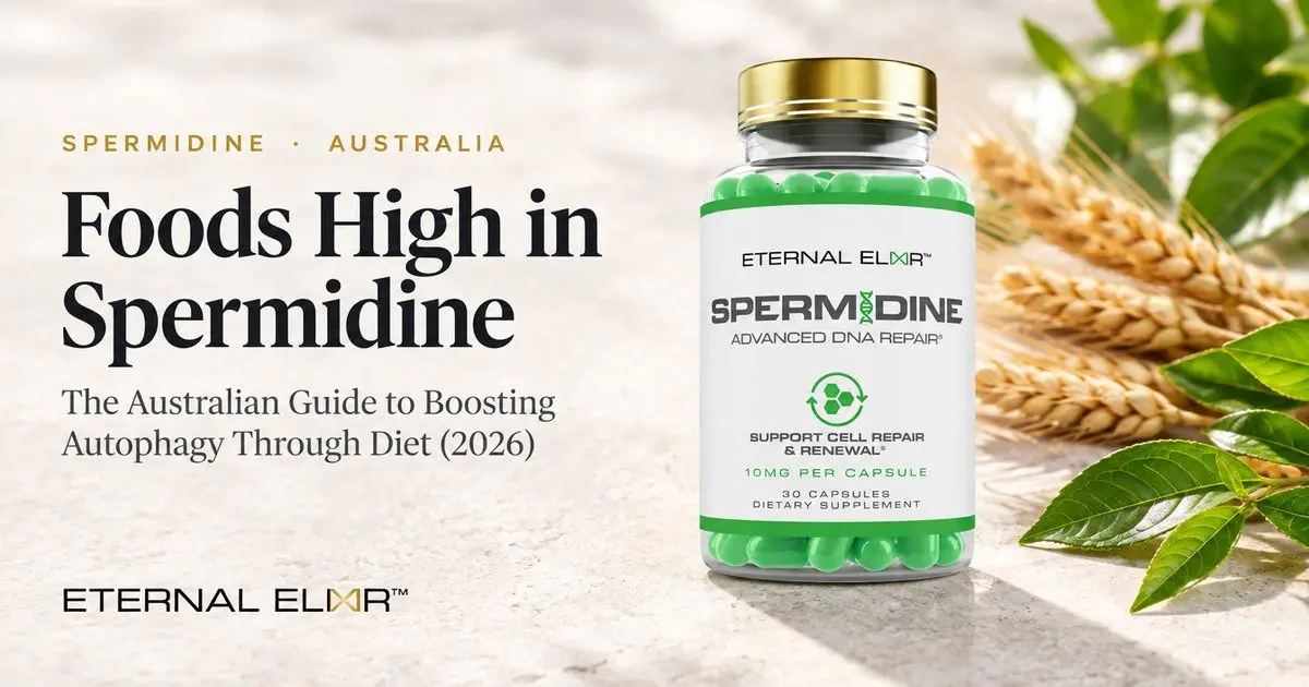 Foods High in Spermidine: The Australian Guide to Boosting Autophagy Through Diet (2026) – Eternal Elixir Spermidine 10mg bottle