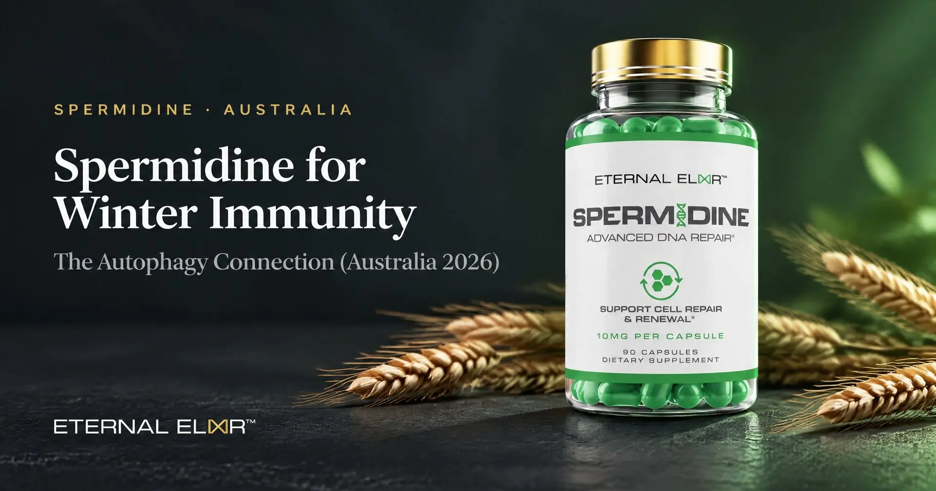 Spermidine for Winter Immunity: The Autophagy Connection (Australia 2026) – Eternal Elixir Spermidine 10mg bottle