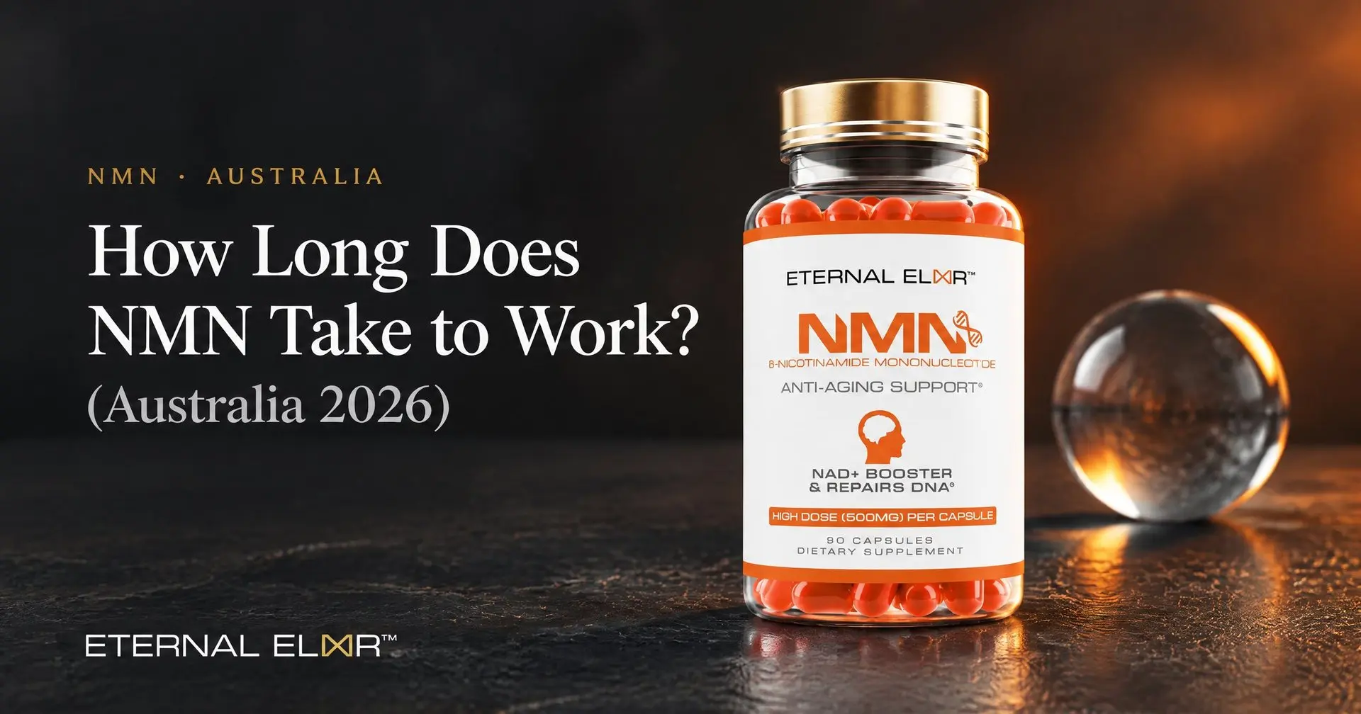 How Long Does NMN Take to Work? (Australia 2026) – Eternal Elixir NMN 500mg bottle