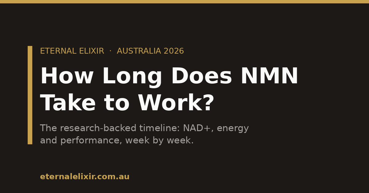 How long does NMN take to work — NMN supplement timeline Australia
