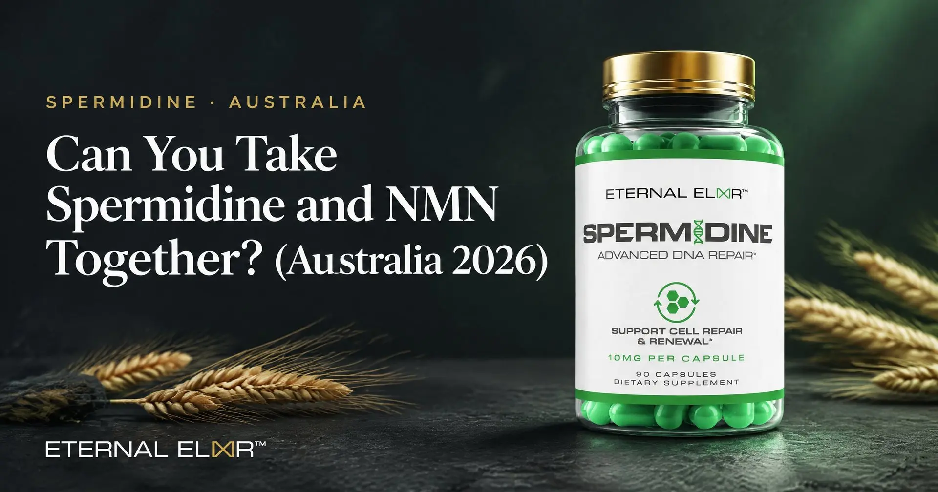Can You Take Spermidine and NMN Together? (Australia 2026) – Eternal Elixir Spermidine 10mg bottle