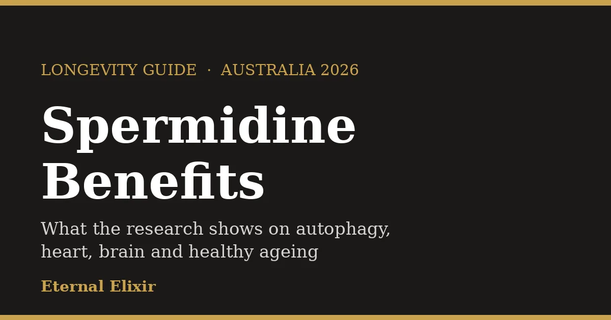 Spermidine benefits Australia guide 2026
