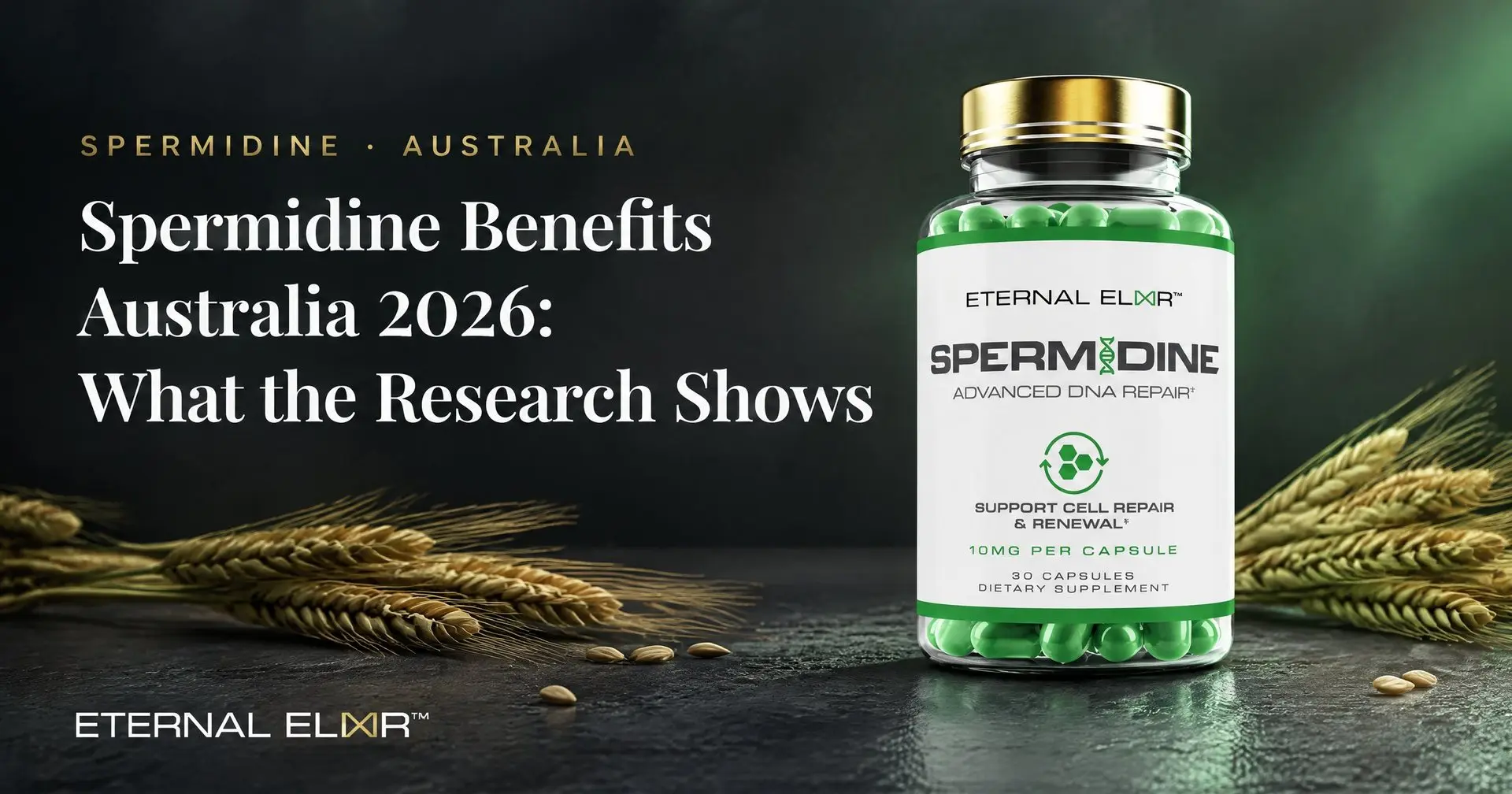 Spermidine Benefits Australia 2026: What the Research Shows – Eternal Elixir Spermidine 10mg bottle