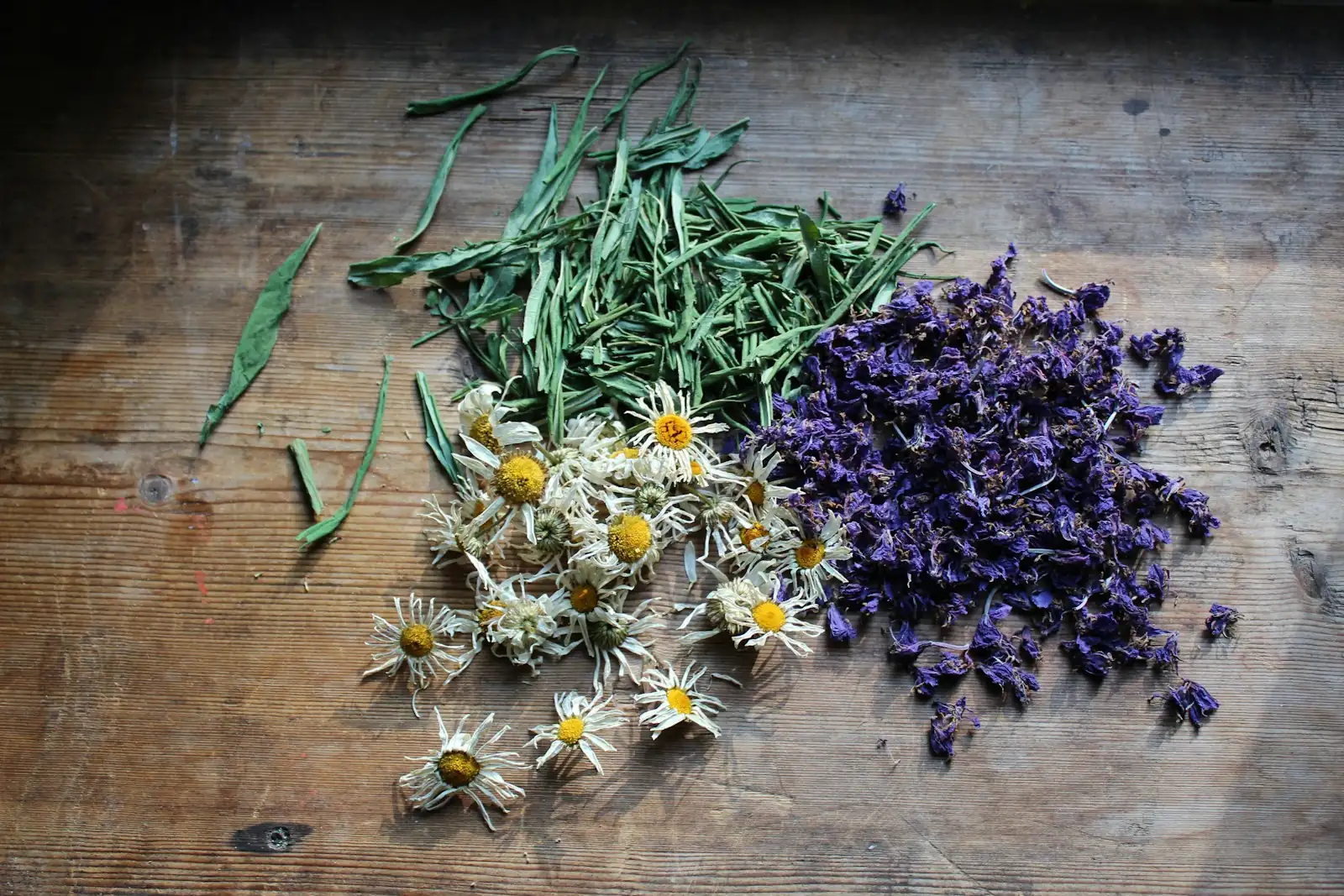 berberine australia - botanical still life hero | Eternal Elixir Australia